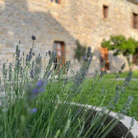 La Abadia Vendégház Coscojuela de Sobrarbe Kültér fotó