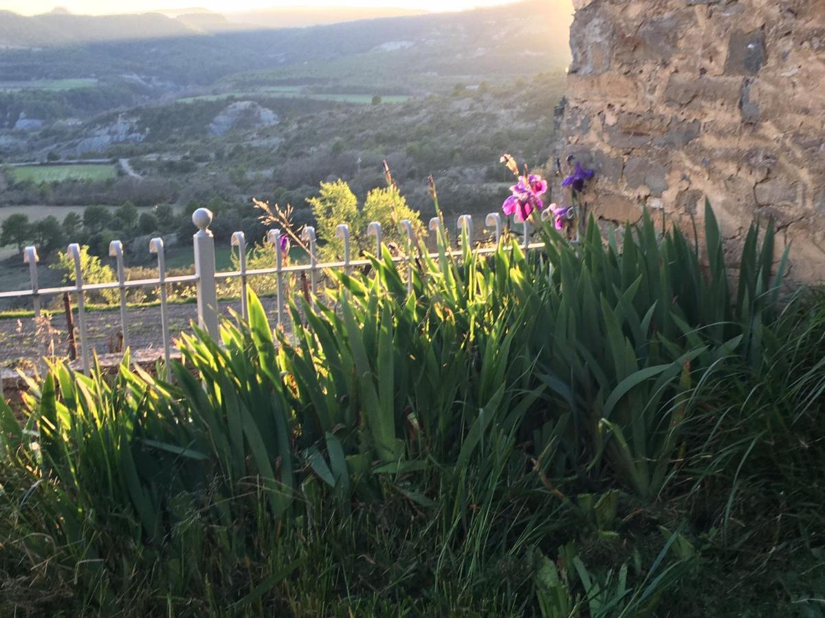 La Abadia Vendégház Coscojuela de Sobrarbe Kültér fotó