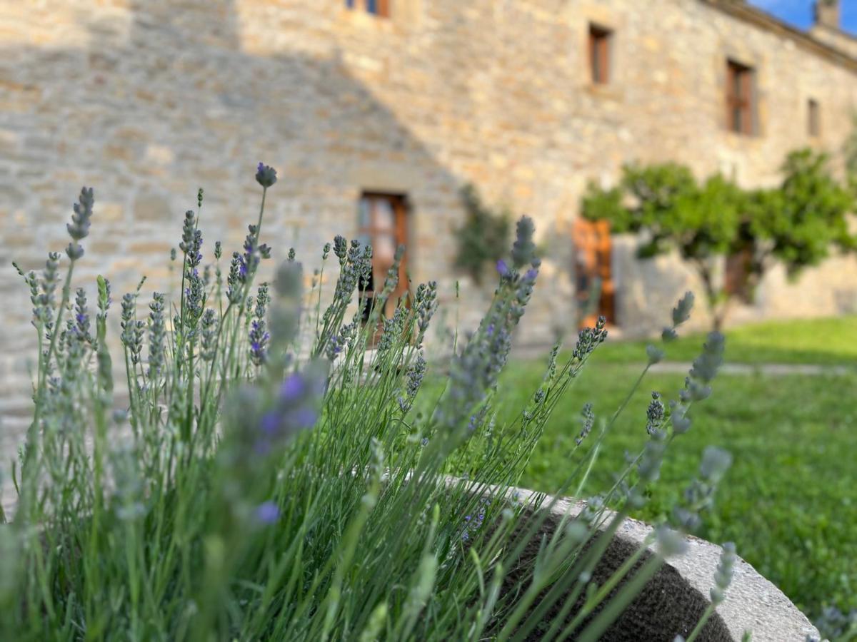 La Abadia Vendégház Coscojuela de Sobrarbe Kültér fotó